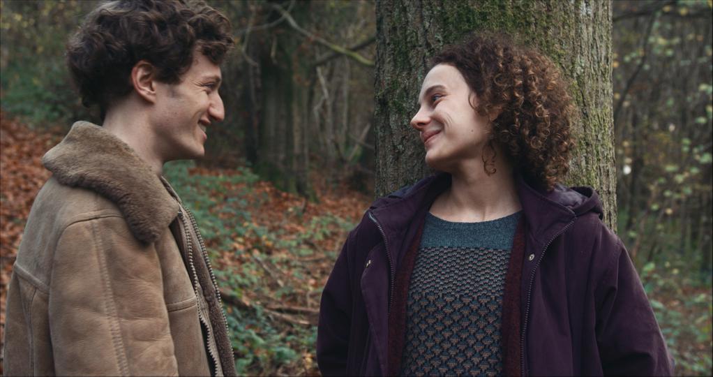 Anemone and Columbine Anemone and Columbine