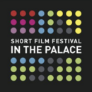 In the Palace International Short Film Festival  - 2026