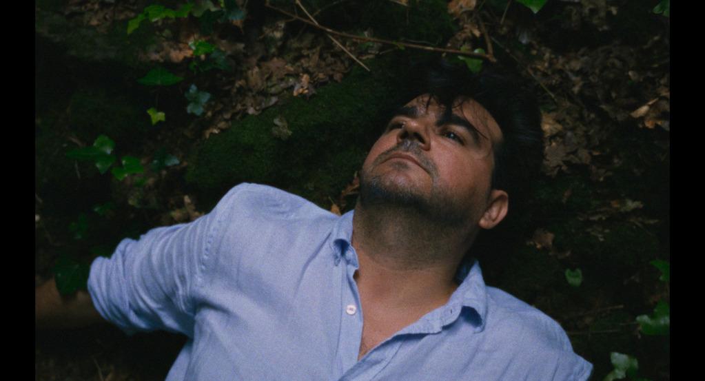 Les Films de la Nuit