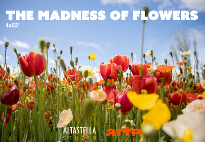 The Madness of Flowers