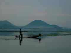 Gardien de buffles (Le)