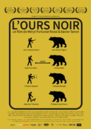 L'Ours noir L'Ours noir