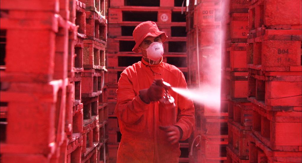 Le dernier maquis Le dernier maquis