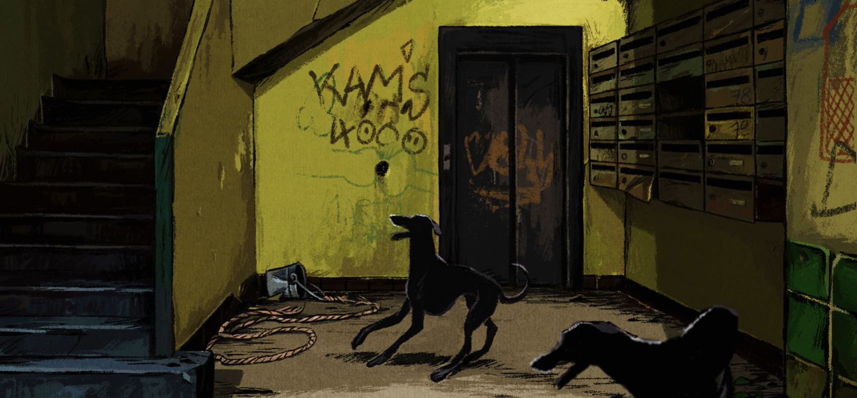 El Corto del mes - Febrero 2017 El Corto del mes - Febrero 2017