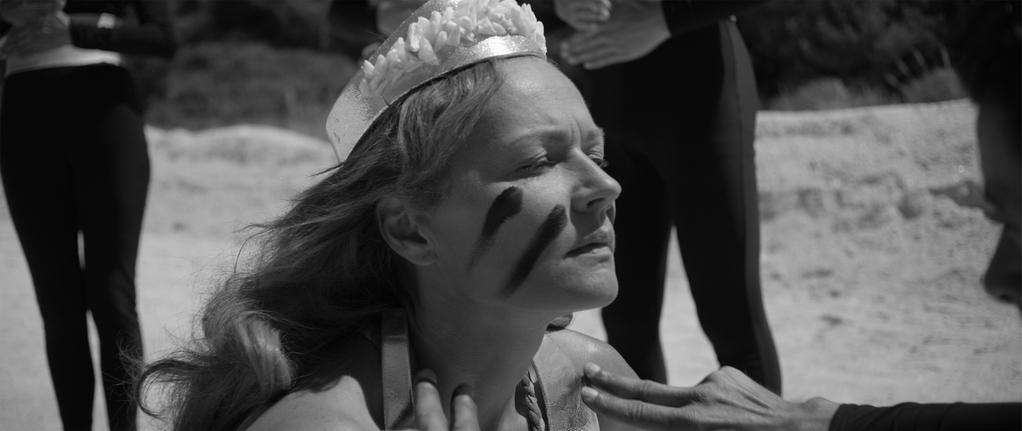 Why the Robots Why the Robots