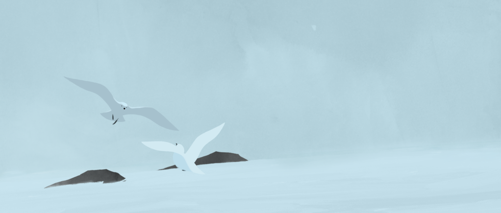 The Uncertain Snow The Uncertain Snow