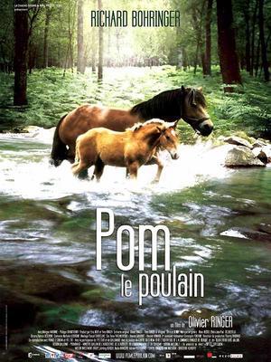 Pom le poulain Pom le poulain