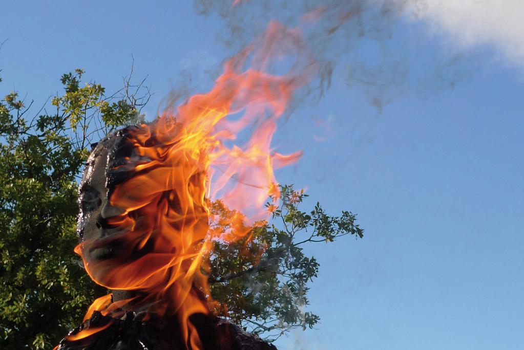 Terre de la folie Terre de la folie