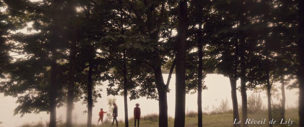 Le Réveil de Lily Le Réveil de Lily