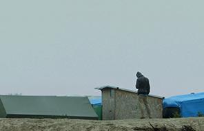 Song for the Jungle Song for the Jungle