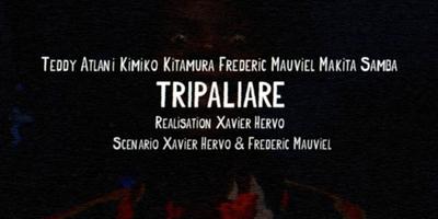 Tripaliare