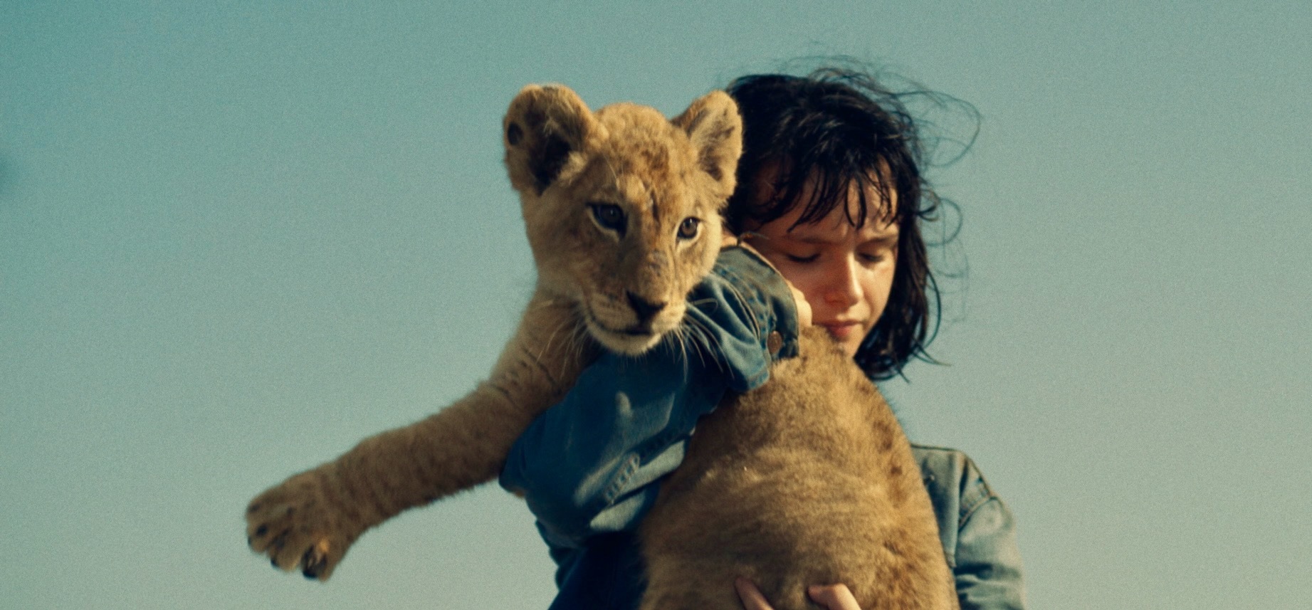 Taquilla internacional del cine francés – Junio del 2023 Taquilla internacional del cine francés – Junio del 2023