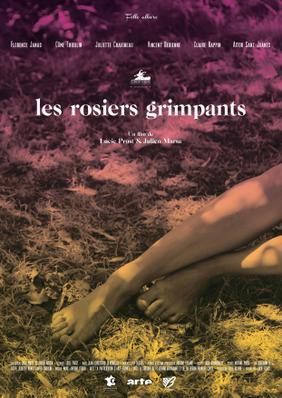 Les Rosiers grimpants Les Rosiers grimpants