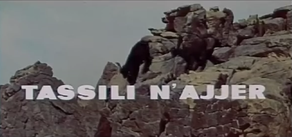 Jean-Dominique Lajoux