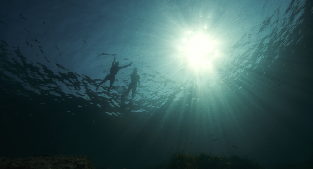 Summer Friends Summer Friends