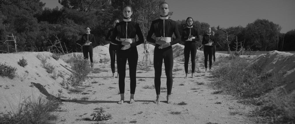 Why the Robots Why the Robots