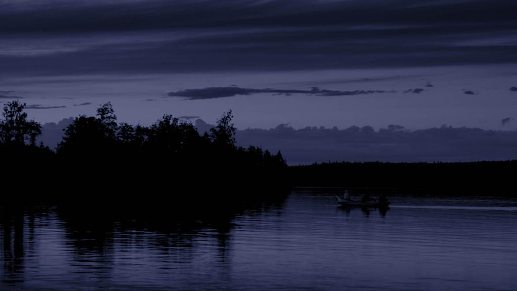 Guillaume  De La Forest Divonne