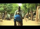 Action Afrique verte Action Afrique verte