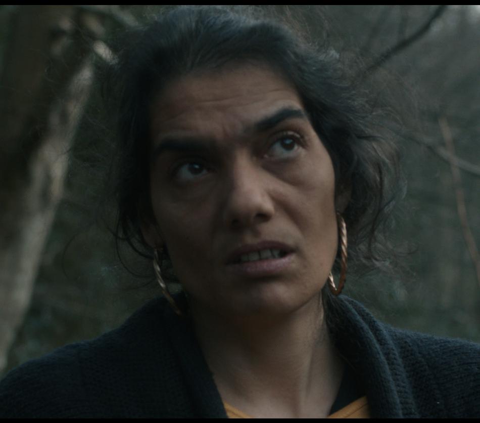 El Cine Franc&eacute;s de Hoy en Kazajist&aacute;n - 2013