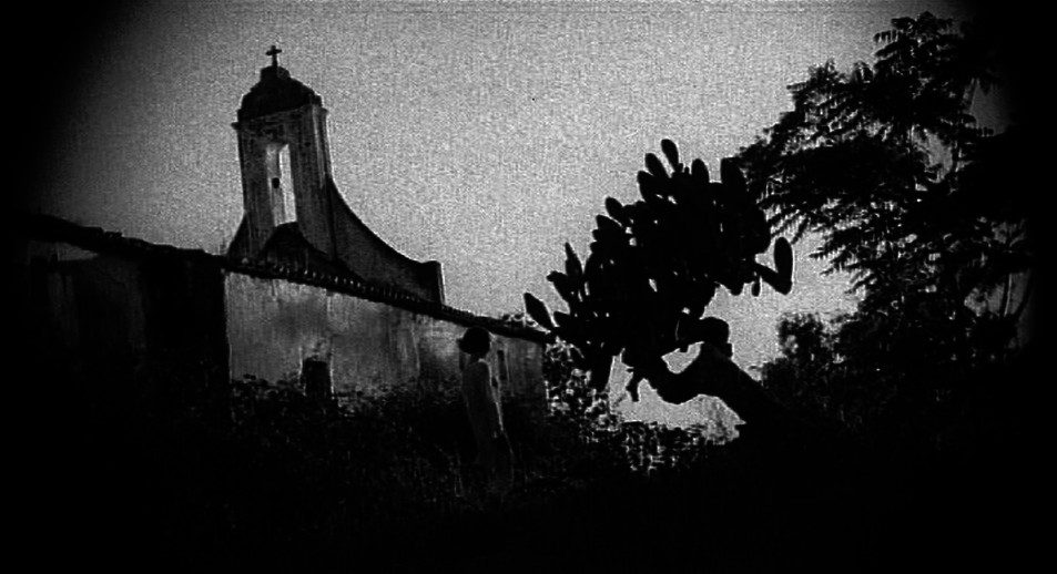 Festival International du film de Cork - 2007