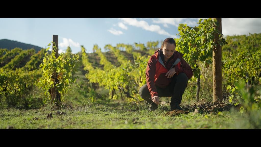 Seeds of Change - &copy; Haut et Court Doc