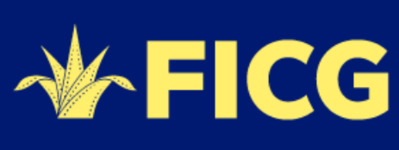 Festival Internacional de Cine de Guadalajara (FICG) - 2027