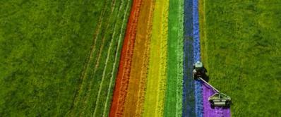 Gay Pride in the Fields Gay Pride in the Fields