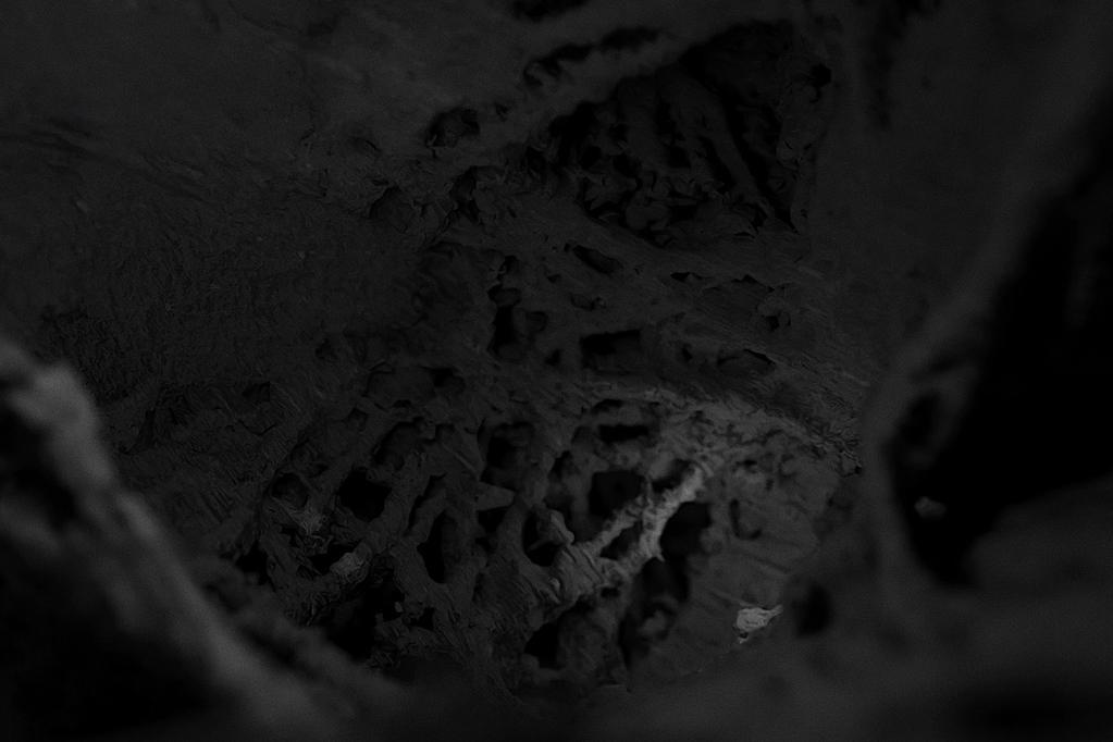 Singapore International Film Festival - 2023