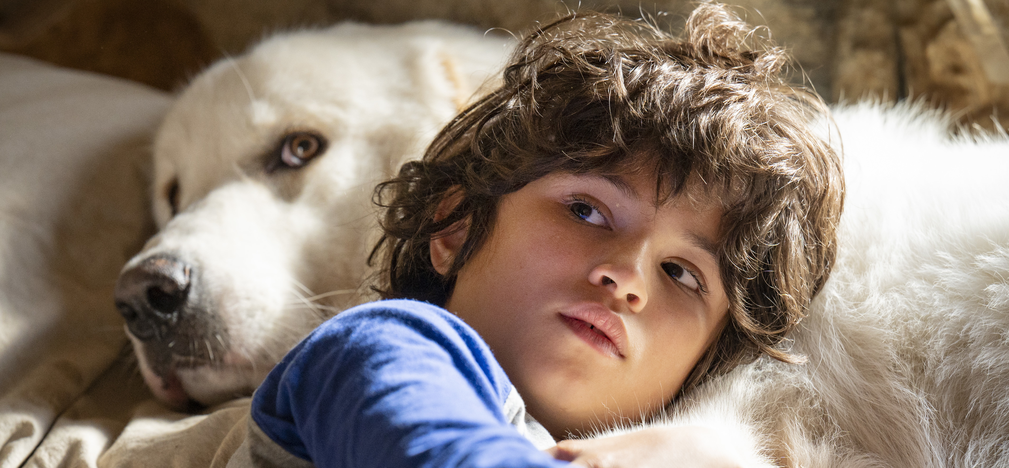 French films at the international box office: January 2023 French films at the international box office: January 2023