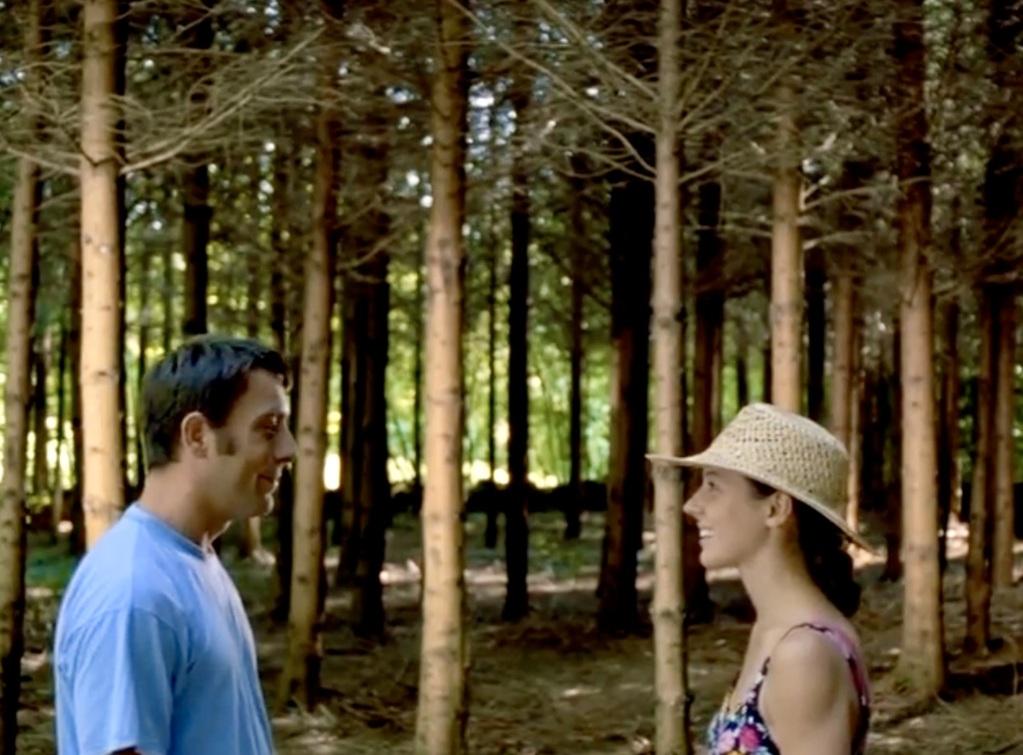 L'Arche de Noé L'Arche de Noé