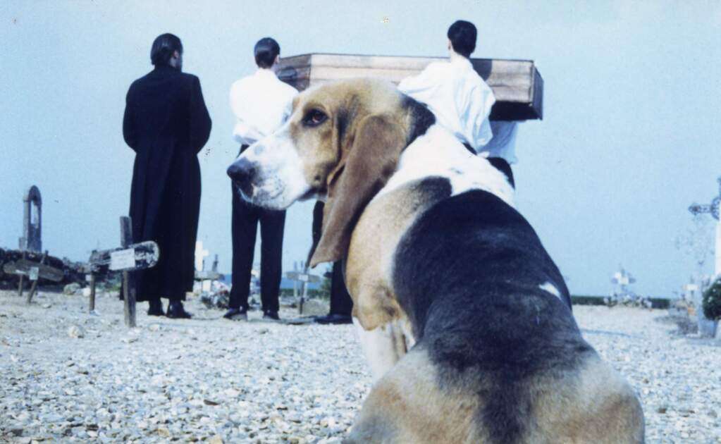 Cimetière en folie Cimetière en folie