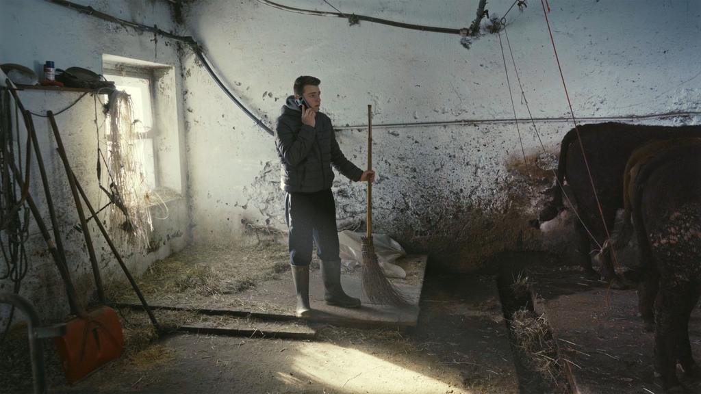 Dans la vallée Dans la vallée