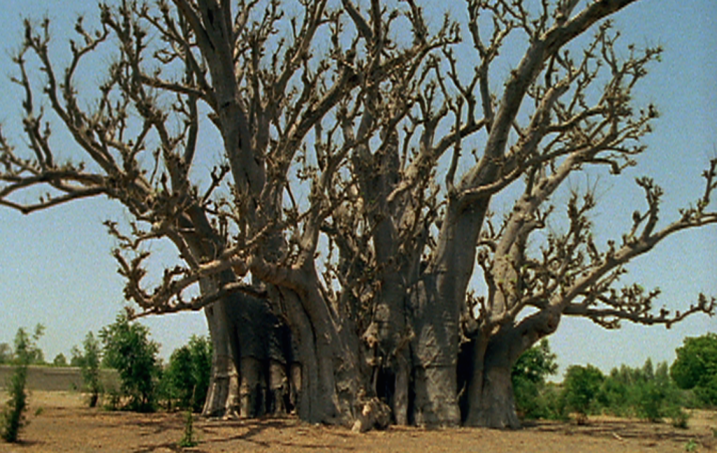 New Directors New Films - 2001