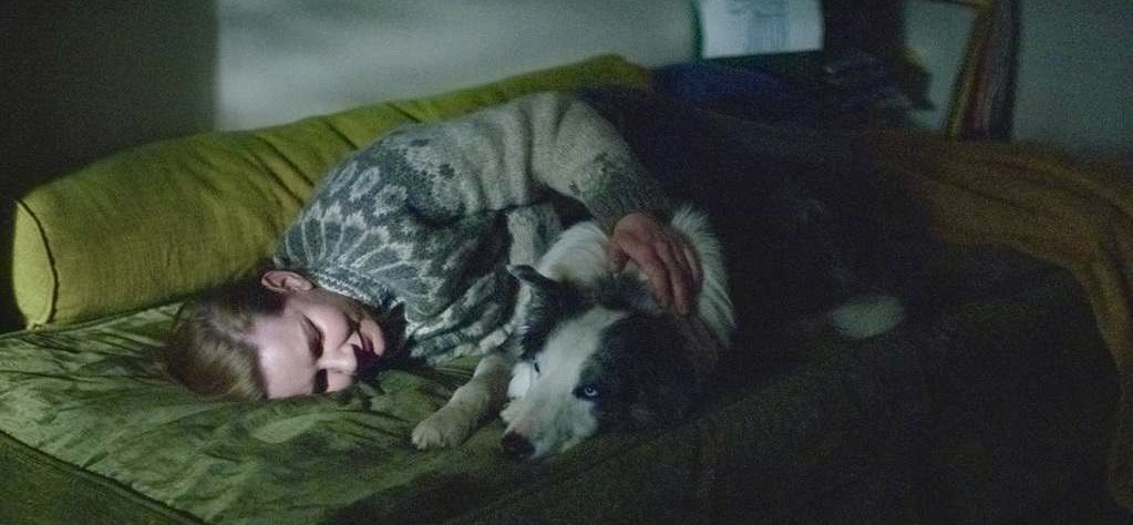 French films at the international box office: January 2024 French films at the international box office: January 2024