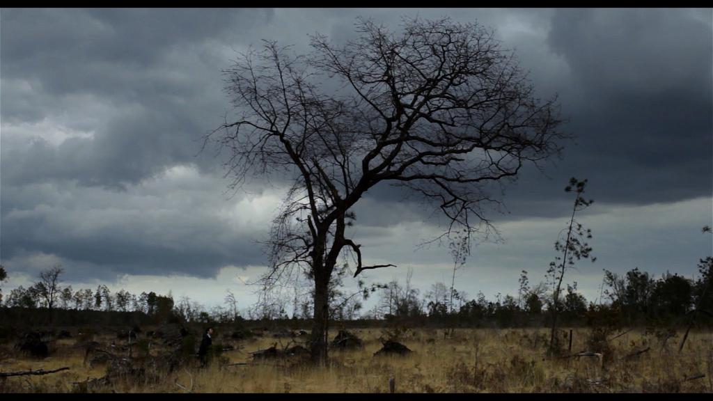 L'Albatros L'Albatros