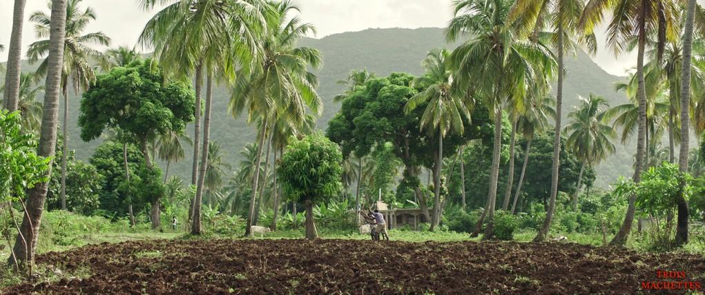 Rhode Island International Film Festival - 2019