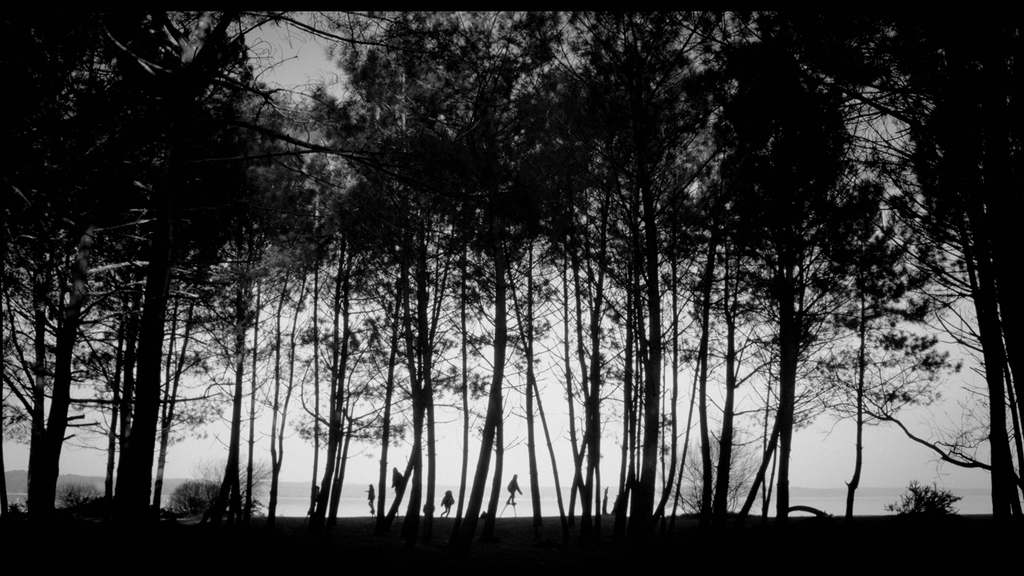 Jos&eacute; Darroquy