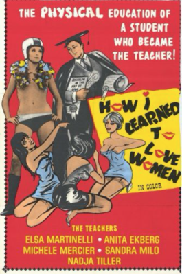 Comment j'ai appris à aimer les femmes Comment j'ai appris à aimer les femmes