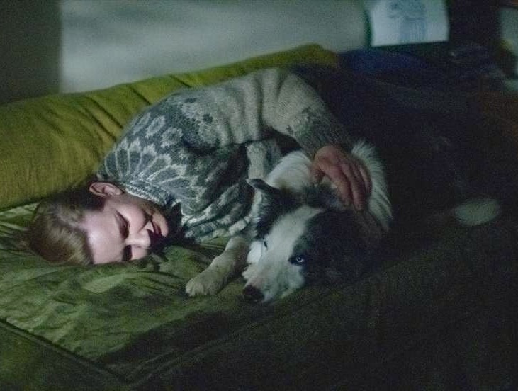 Box-office international des films français - Janvier 2024 Box-office international des films français - Janvier 2024