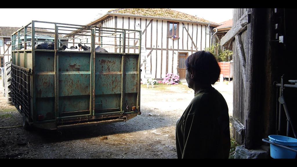 Les Vaches N Auront Plus De Nom Les Vaches n'auront plus de nom de Hubert Charuel (2019) - UniFrance