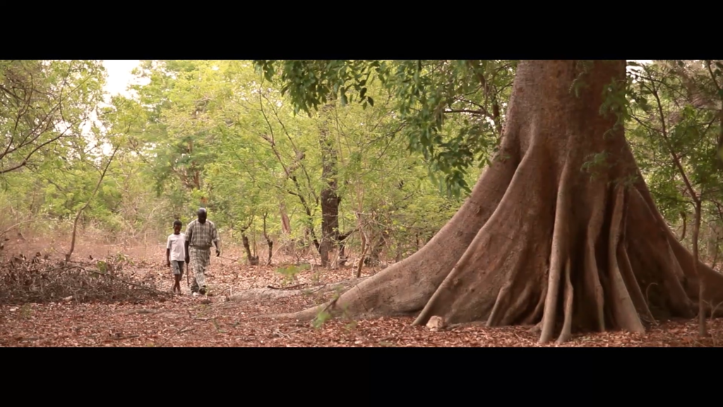 Nebeday, the Tree of Life Nebeday, the Tree of Life