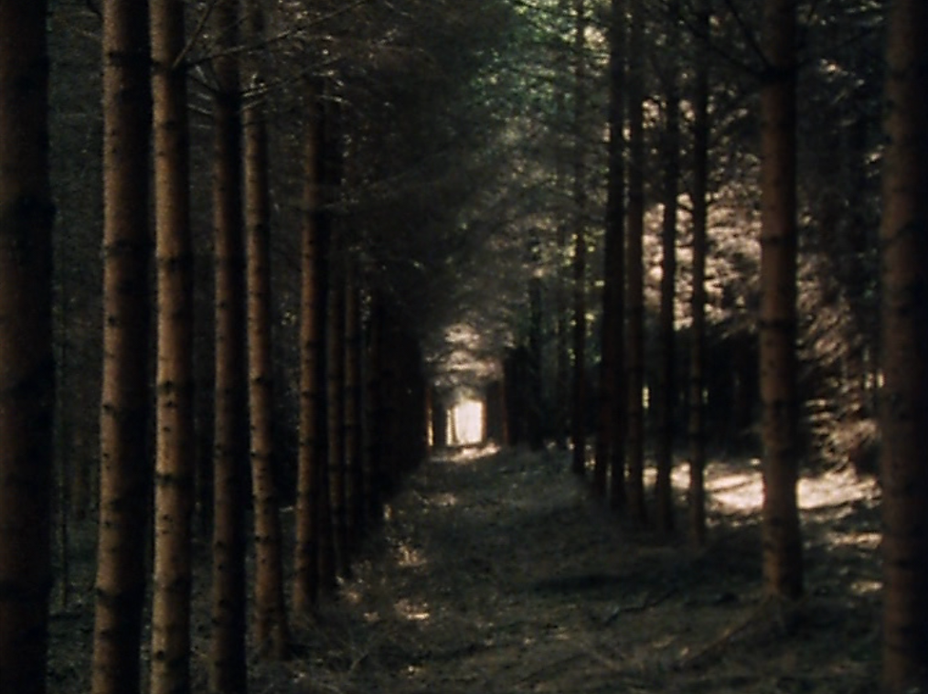 L'Espace d&eacute;sol&eacute;