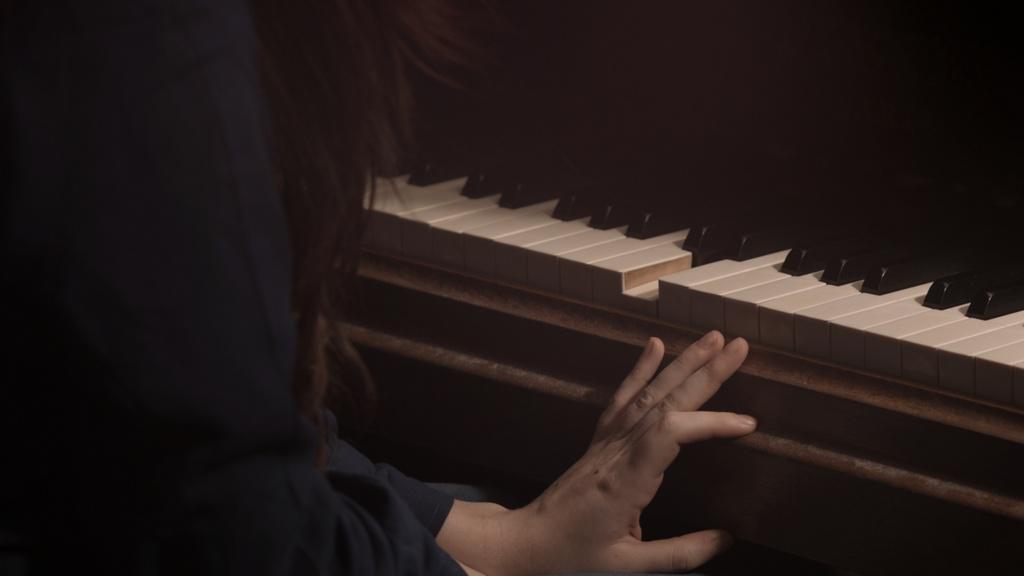 The Black Forest The Black Forest