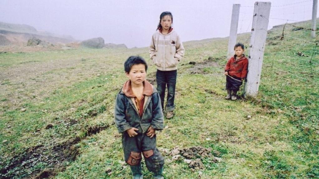 International Film Festival Rotterdam (IFFR) - 2013