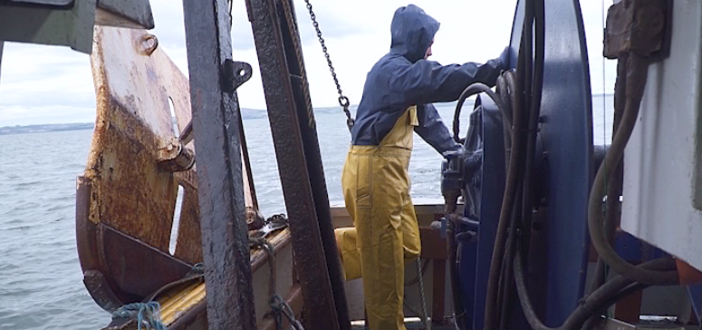 Les Vivants, les morts et les marins Les Vivants, les morts et les marins