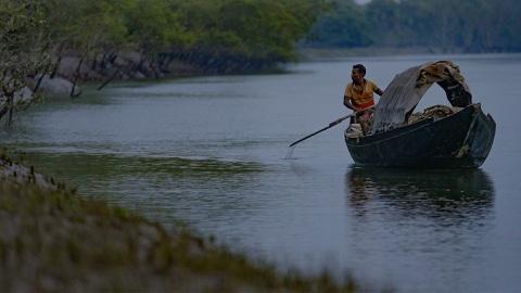 Sundarbans, the Last Kingdom of the Tiger Sundarbans, the Last Kingdom of the Tiger