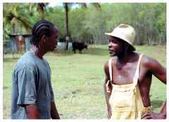 Nèg Maron Nèg Maron