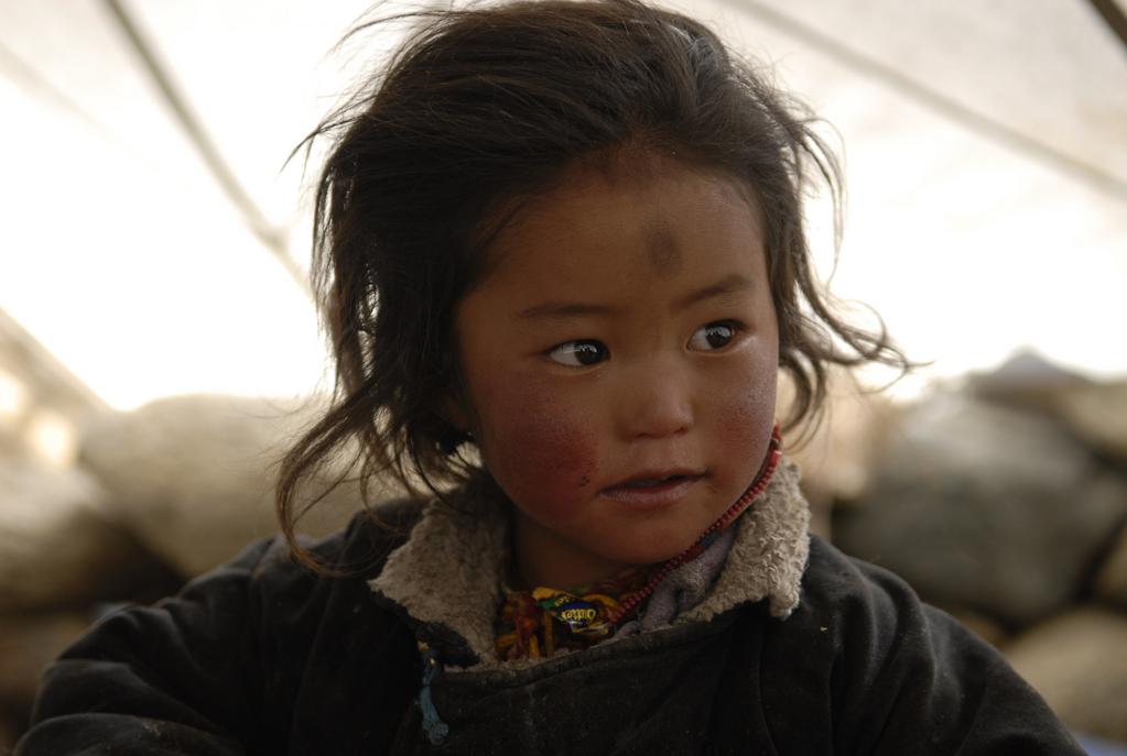 Festival des films du monde de Montréal - 2012 - © Zed / Marianne Chaud / Maximilian Essayie Festival des films du monde de Montréal - 2012 - © Zed / Marianne Chaud / Maximilian Essayie