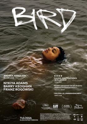 Bird - Finland Bird - Finland