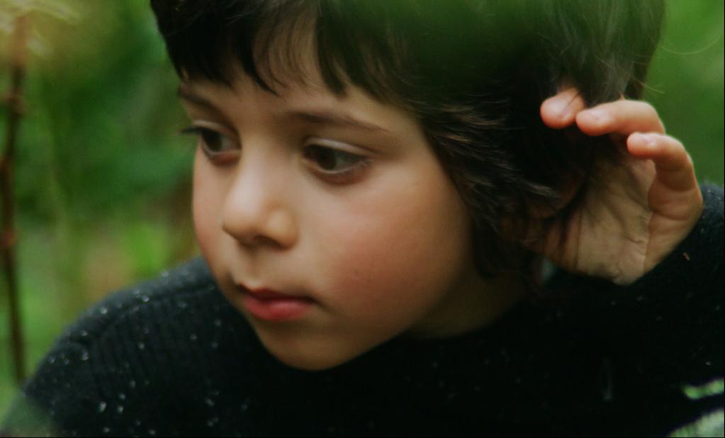 The Cormorant The Cormorant